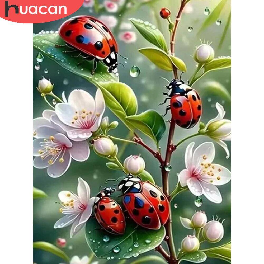 HUACAN hewan DIY lukisan berli - Embroidery Lady Bug ulasan dan harga