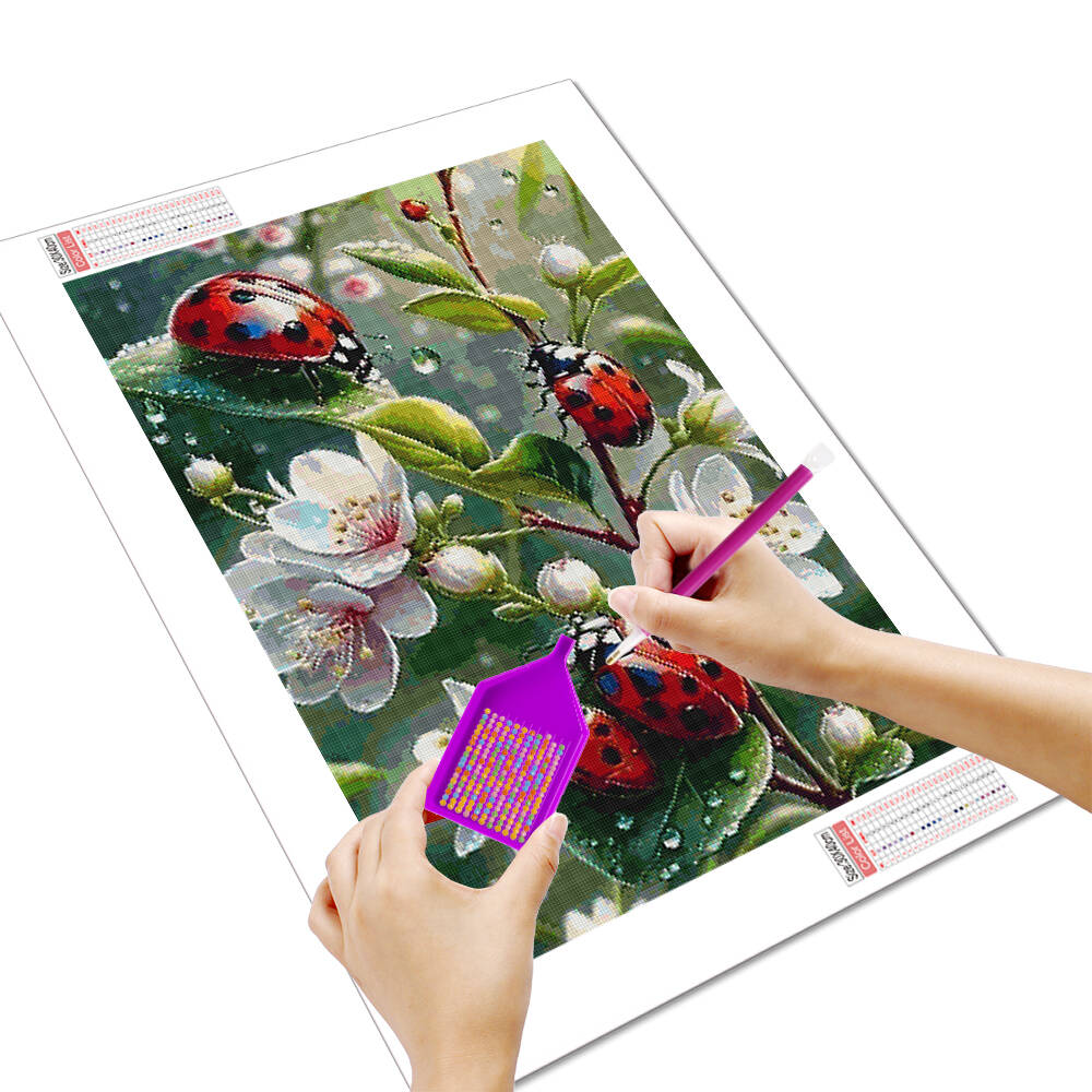 HUACAN hewan DIY lukisan berli - Embroidery Lady Bug ulasan dan harga